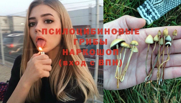 ГАЛЛЮЦИНОГЕННЫЕ ГРИБЫ Алексин