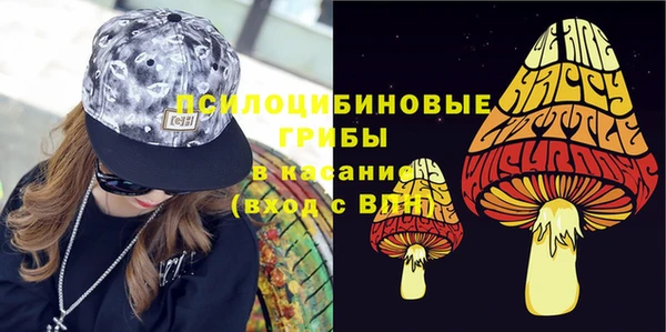 ГАЛЛЮЦИНОГЕННЫЕ ГРИБЫ Алексин