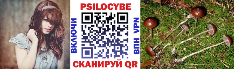 продажа наркотиков  Глазов  Галлюциногенные грибы Cubensis 